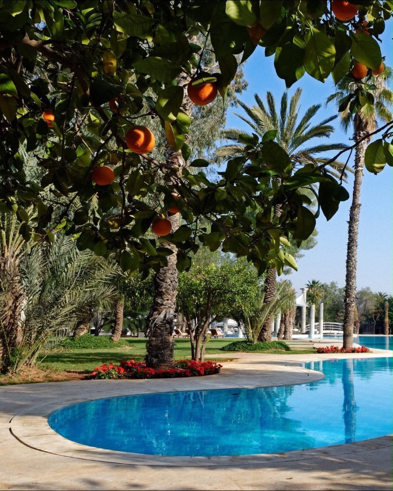 Es Saadi Resort Palace — Day pass piscine